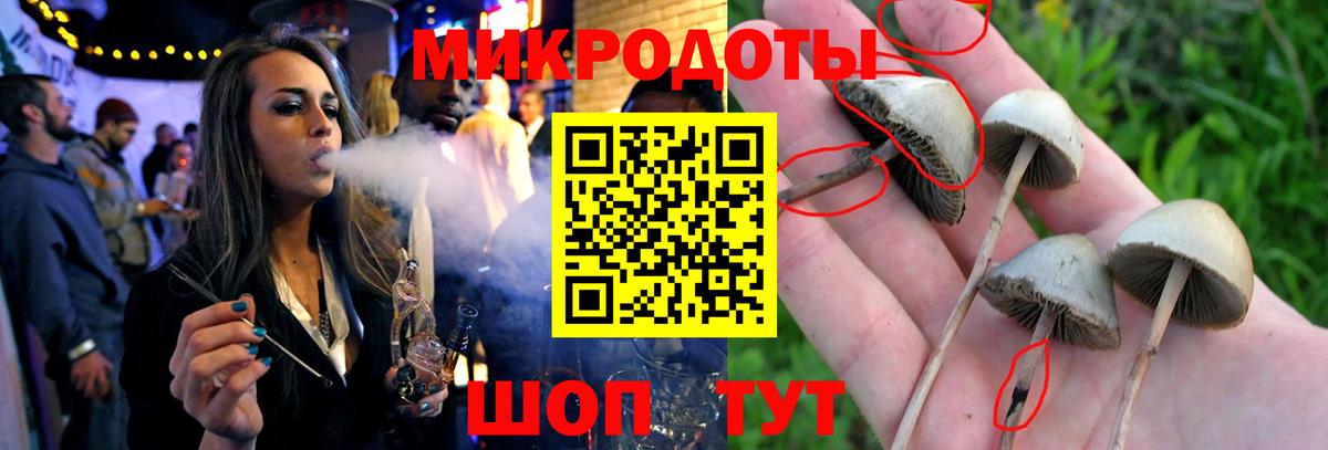 Галлюциногенные грибы мицелий Златоуст
